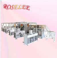 Roselee Sanitary Napkin Manufacturer CO.,Ltd image 11